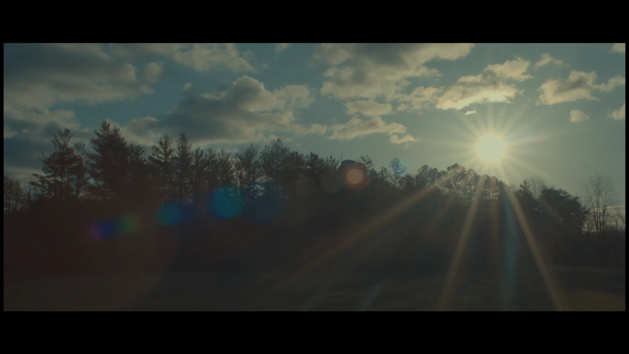 Sophie is Dead (2024) — photo 4