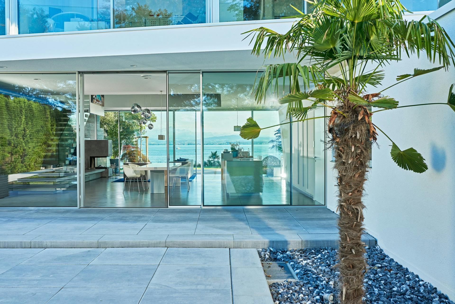 white house with floor to ceiling glass overlooking lake with palm tree in foreground