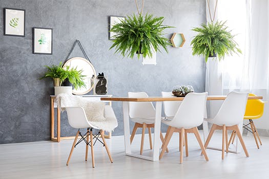 Groen in huis - onderhoudsvriendelijk
