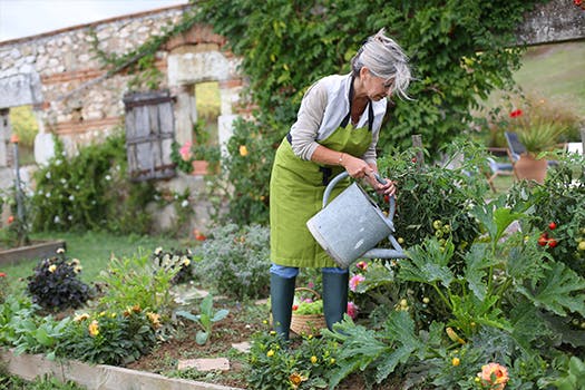 Tuin klaar voor de herfst - zaaien, planten en oogsten