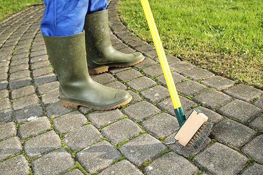 Tuin klaar voor de herfst - ontmos je gazon