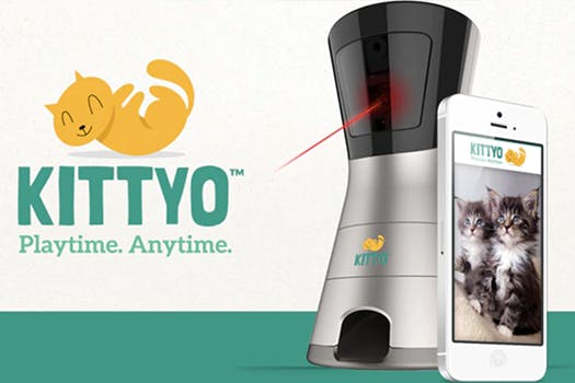 trends - kittyo