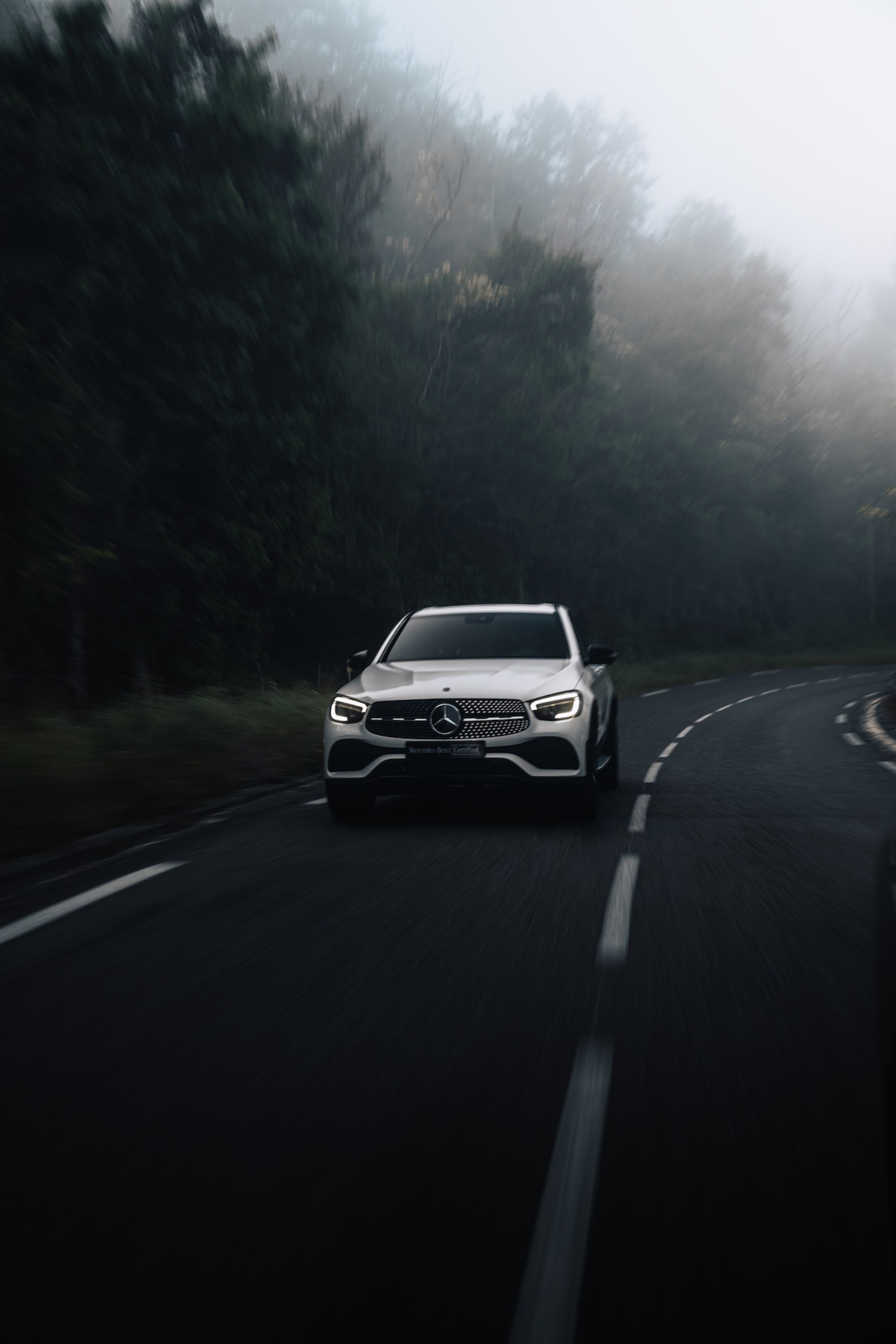 Ky & Ba - picture - 4