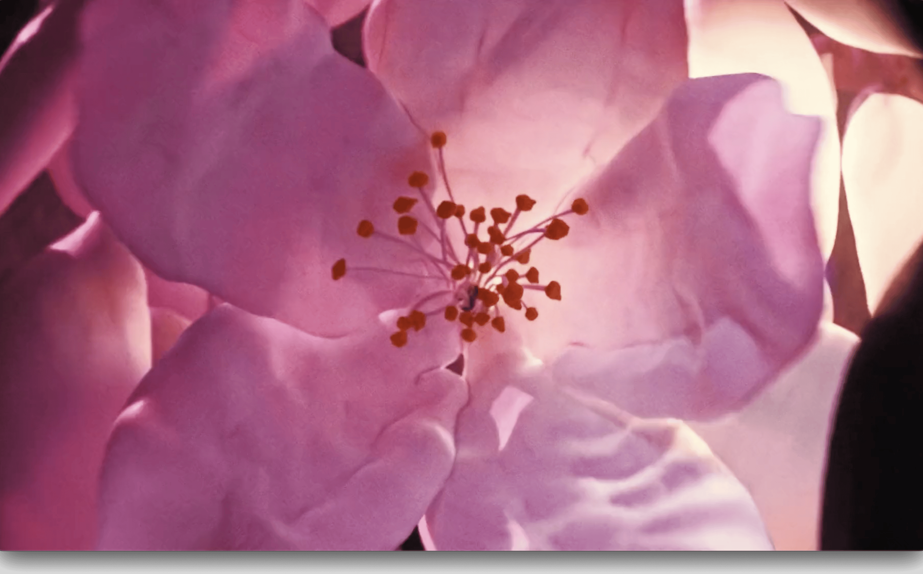 Adrien Wagner - Yves Saint Laurent - Black Opium