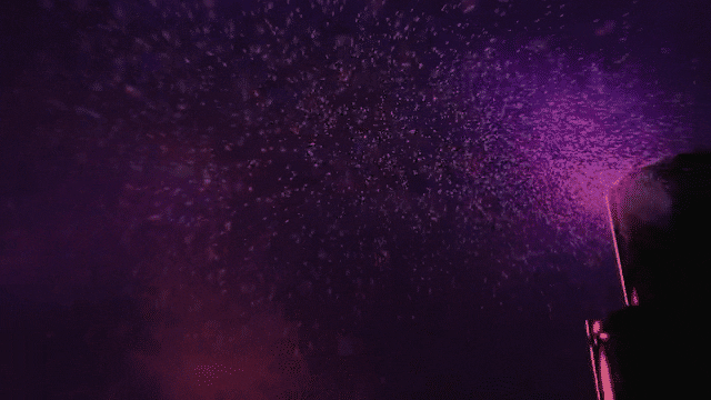 Adrien Wagner - still - 2