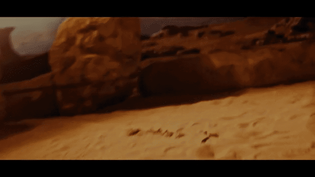 Adrien Wagner - still - 0