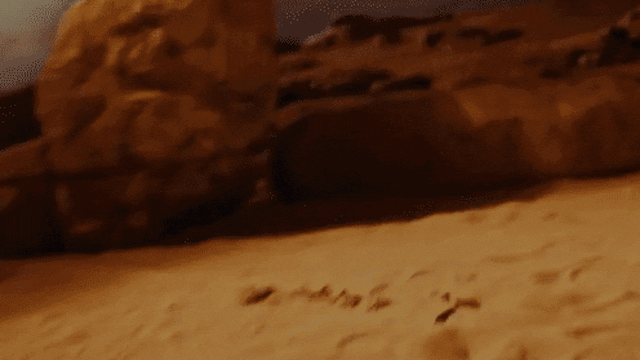 Adrien Wagner - still - 0