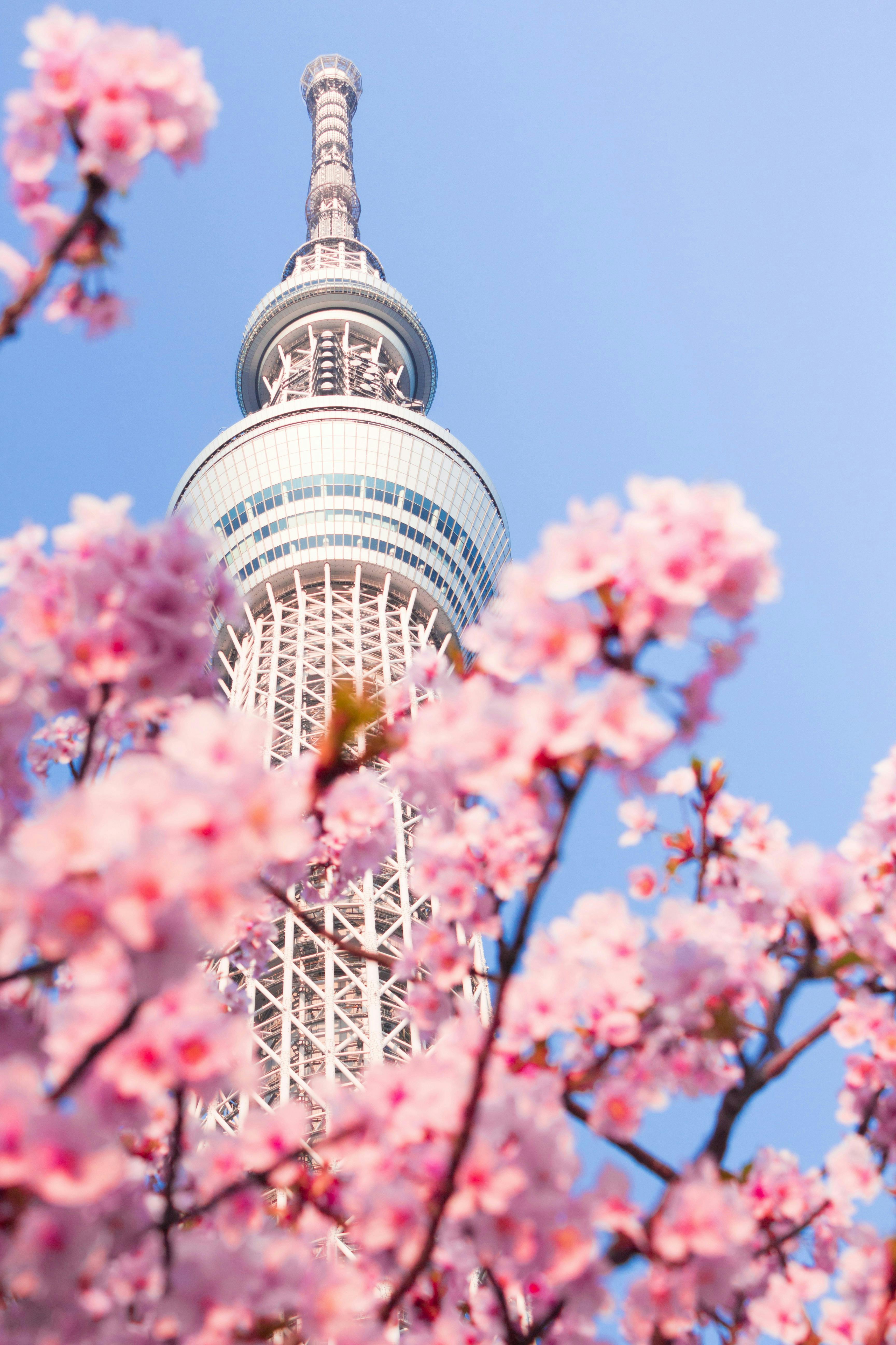Visit Tokyo Skytree