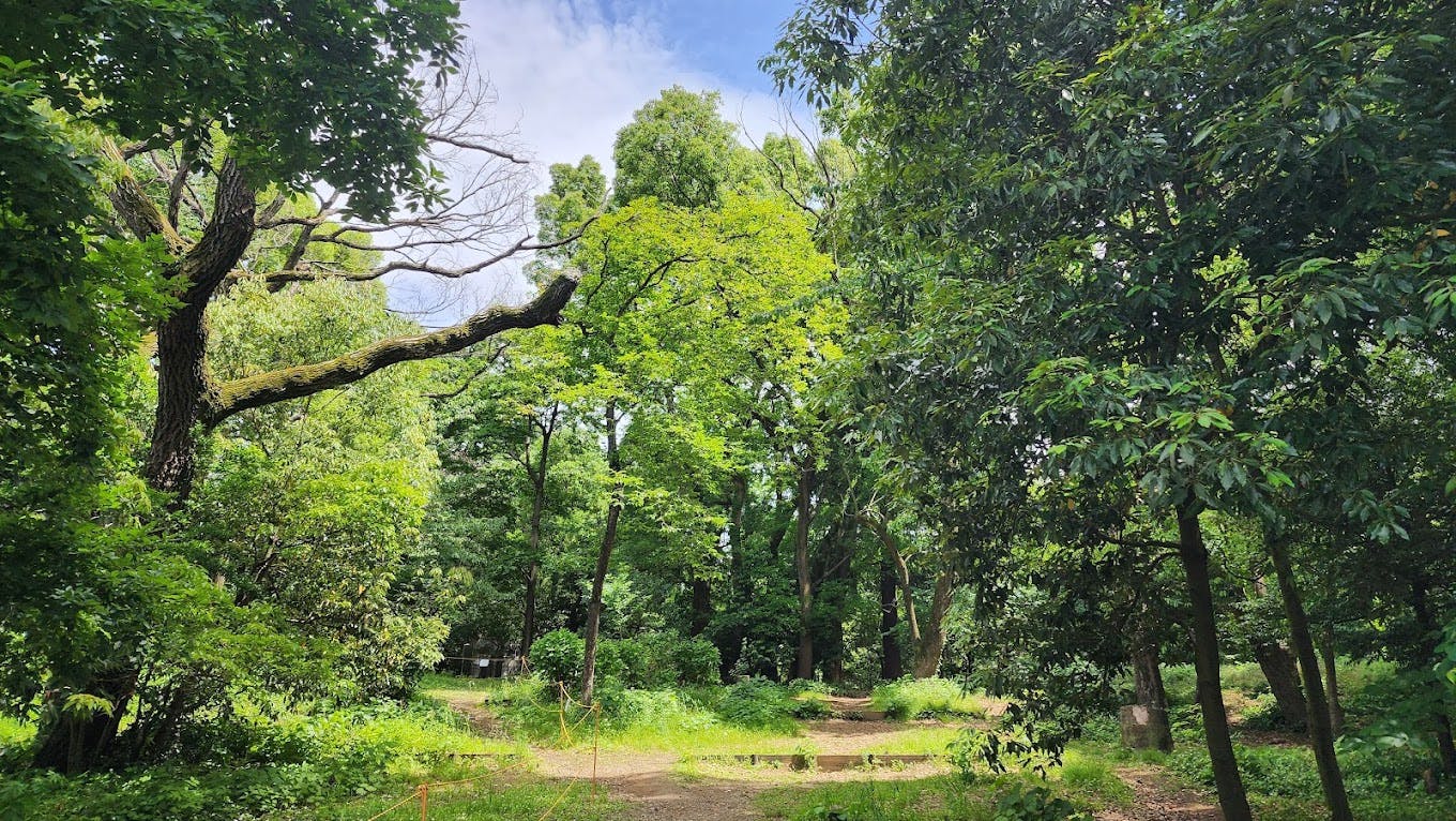 Relax in Egota-no-Mori Park