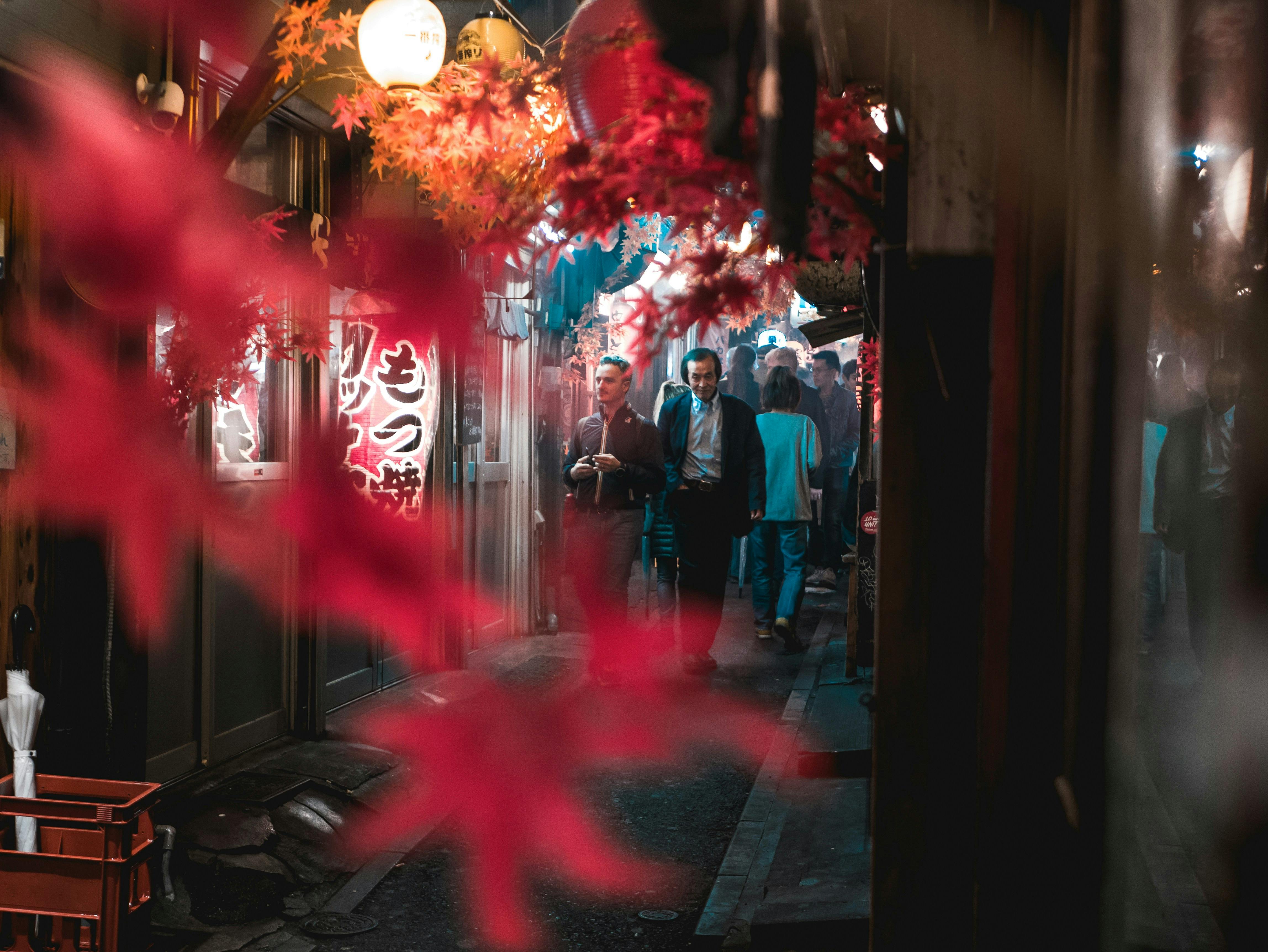 Explore Omoide Yokocho