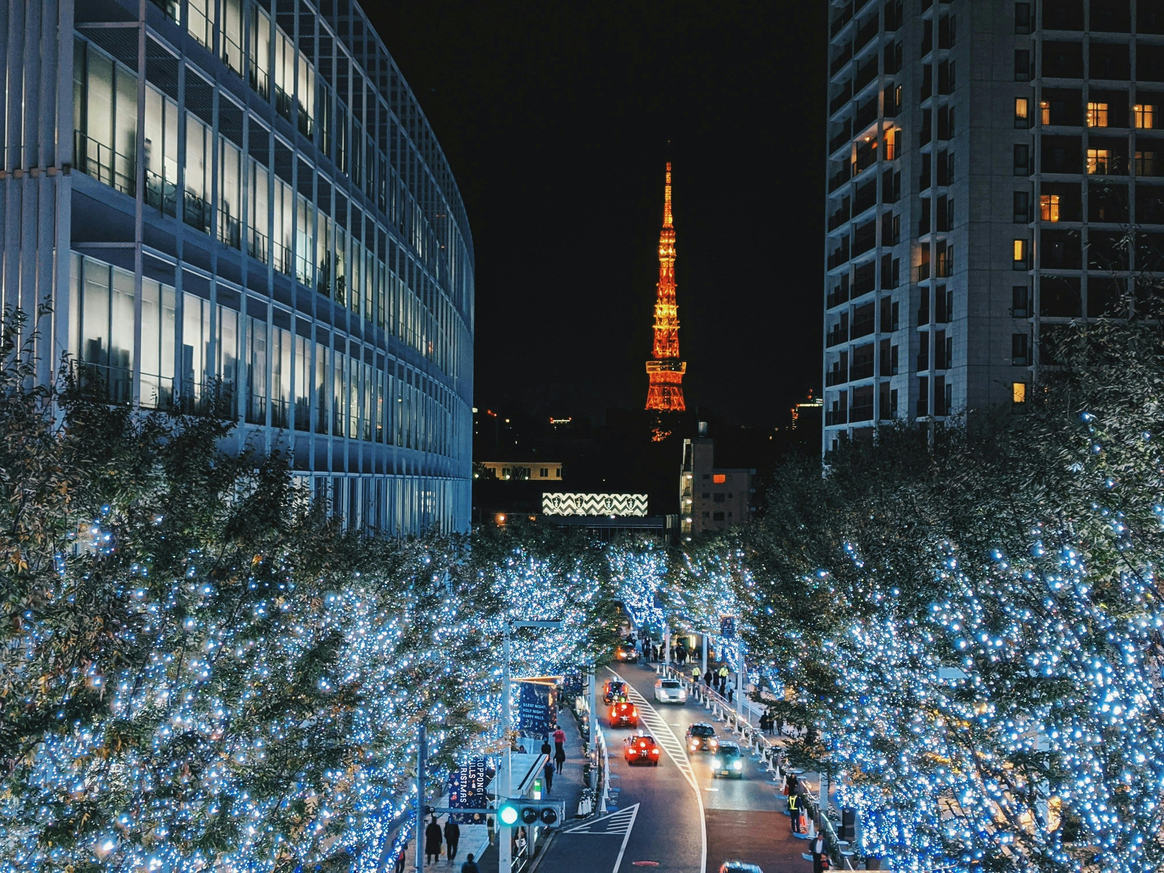 Enjoy Nightlife in Roppongi