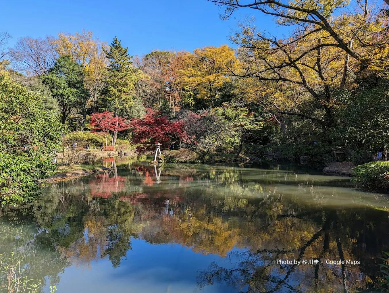 Stroll Through Arisugawa-no-miya Memorial Park