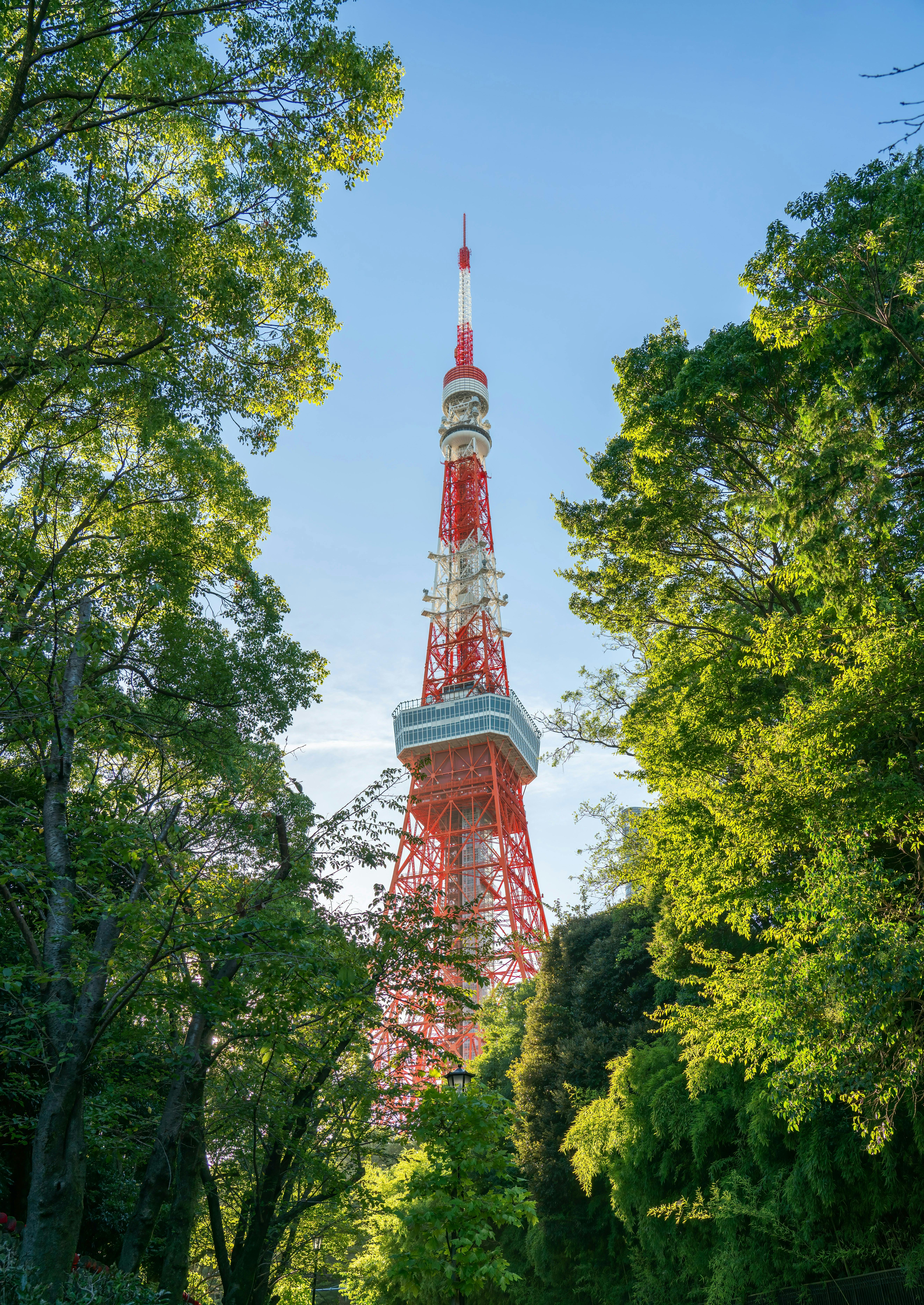 Visit the iconic Tokyo Tower
