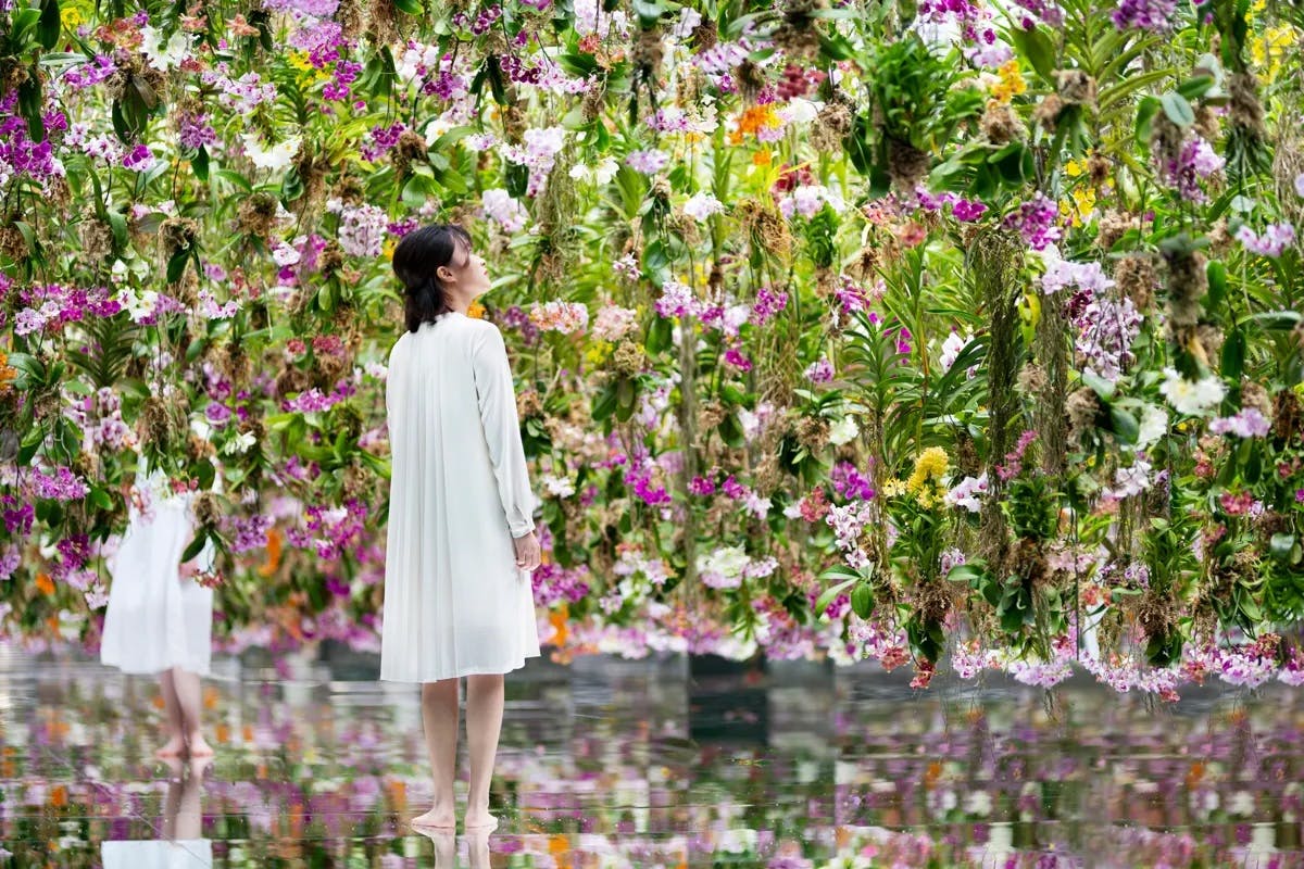 Stroll Through TeamLab Planets