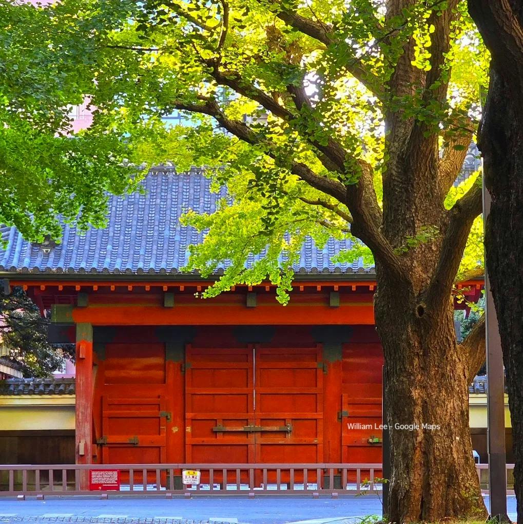The University of Tokyo - Hongo Campus