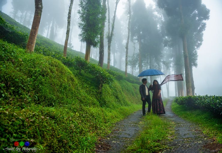 picturesque engagement couple poses