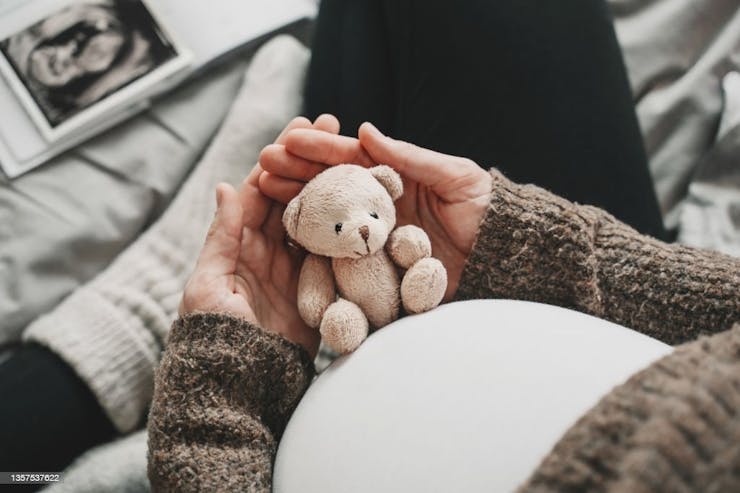 Teddy Bear