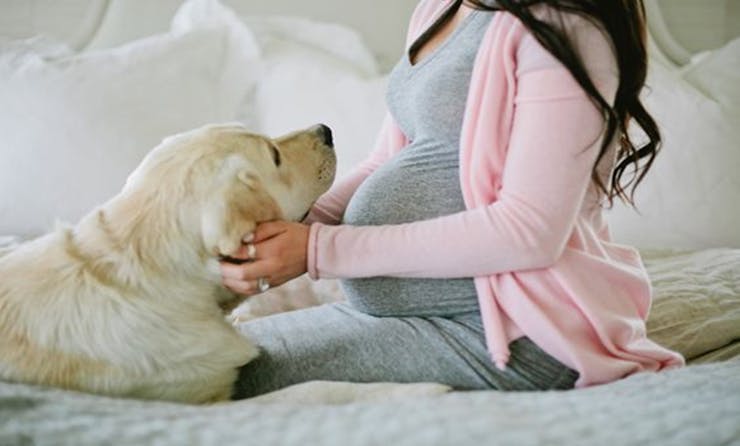 With Your Pet