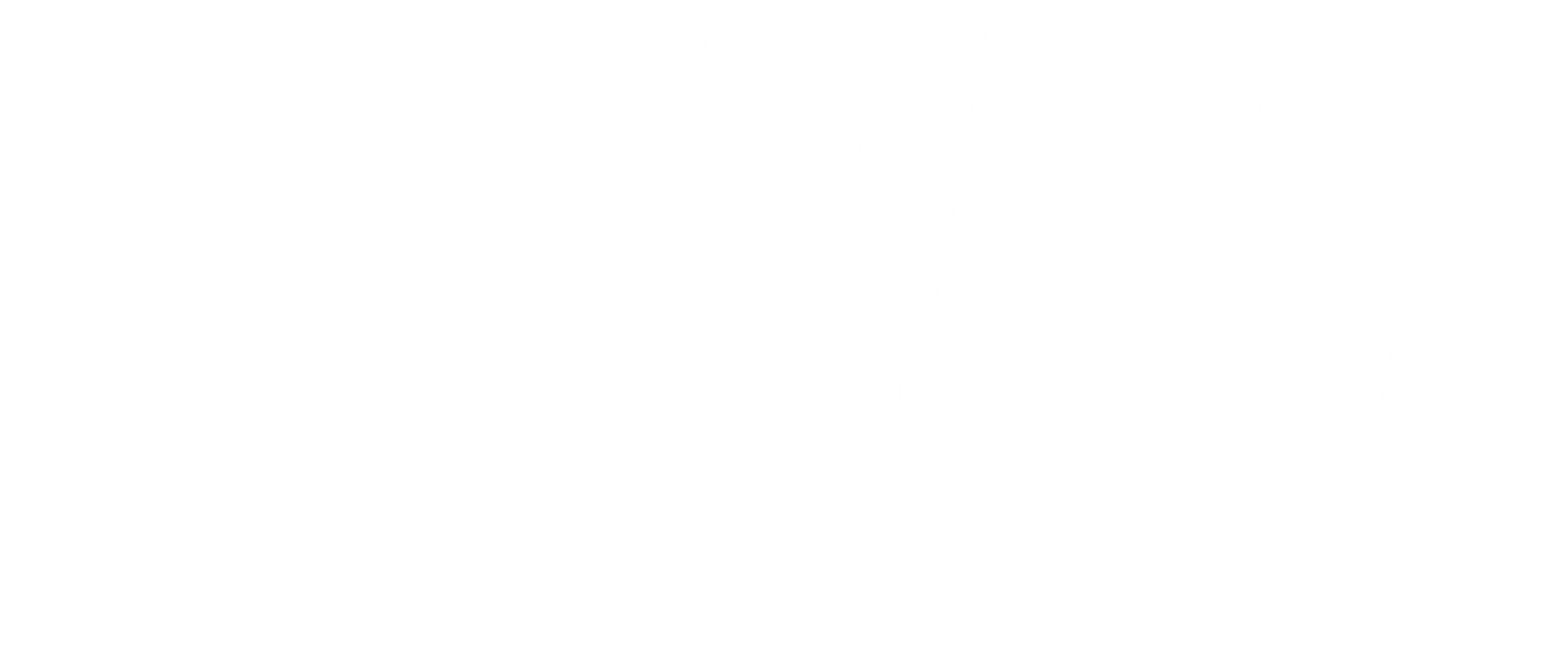 Andi del Futuro
