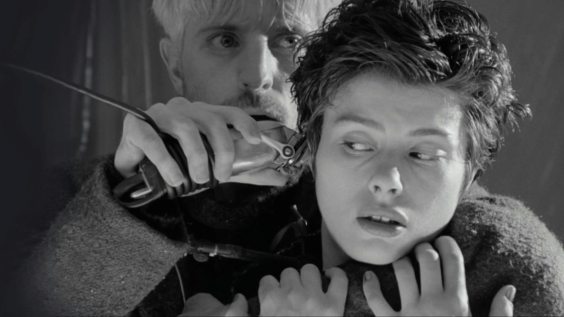 Denis Villeneuve; Cosmos