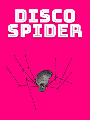 Disco Spider Sooper Books Rhyme Animated Cover