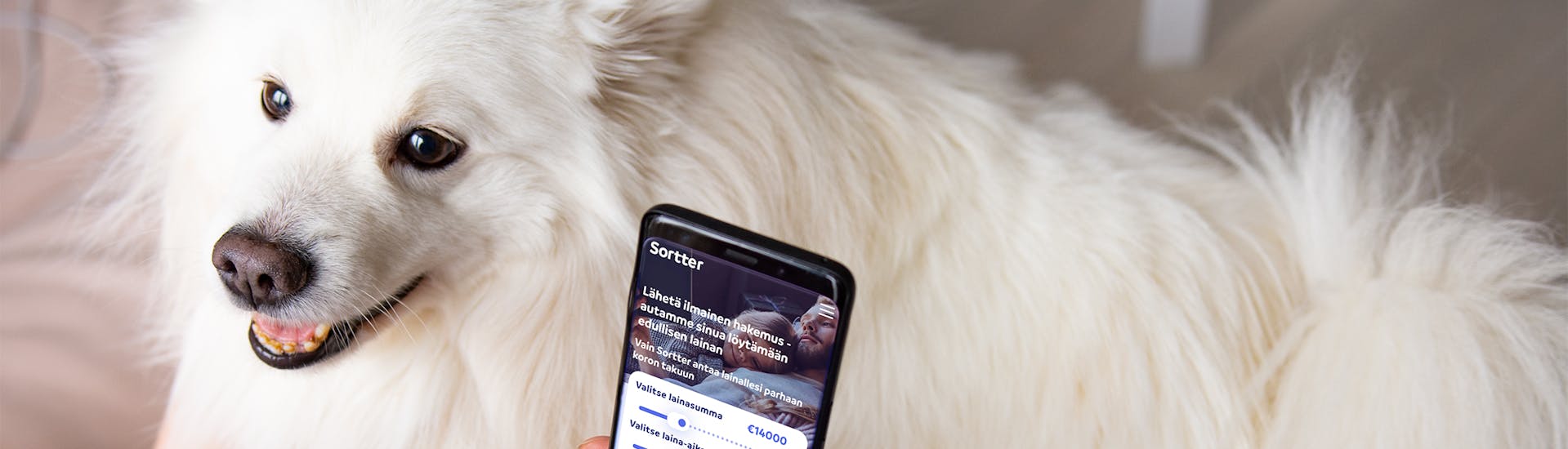 Sortter – reilu ja luotettava lainavertailupalvelu