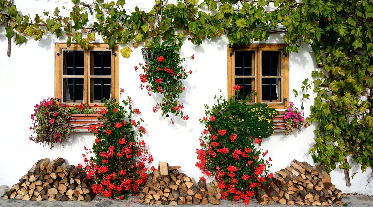Balta siena, sarkani ziedi un malka