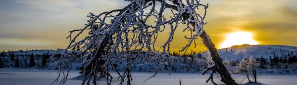 Tammikuu 2021