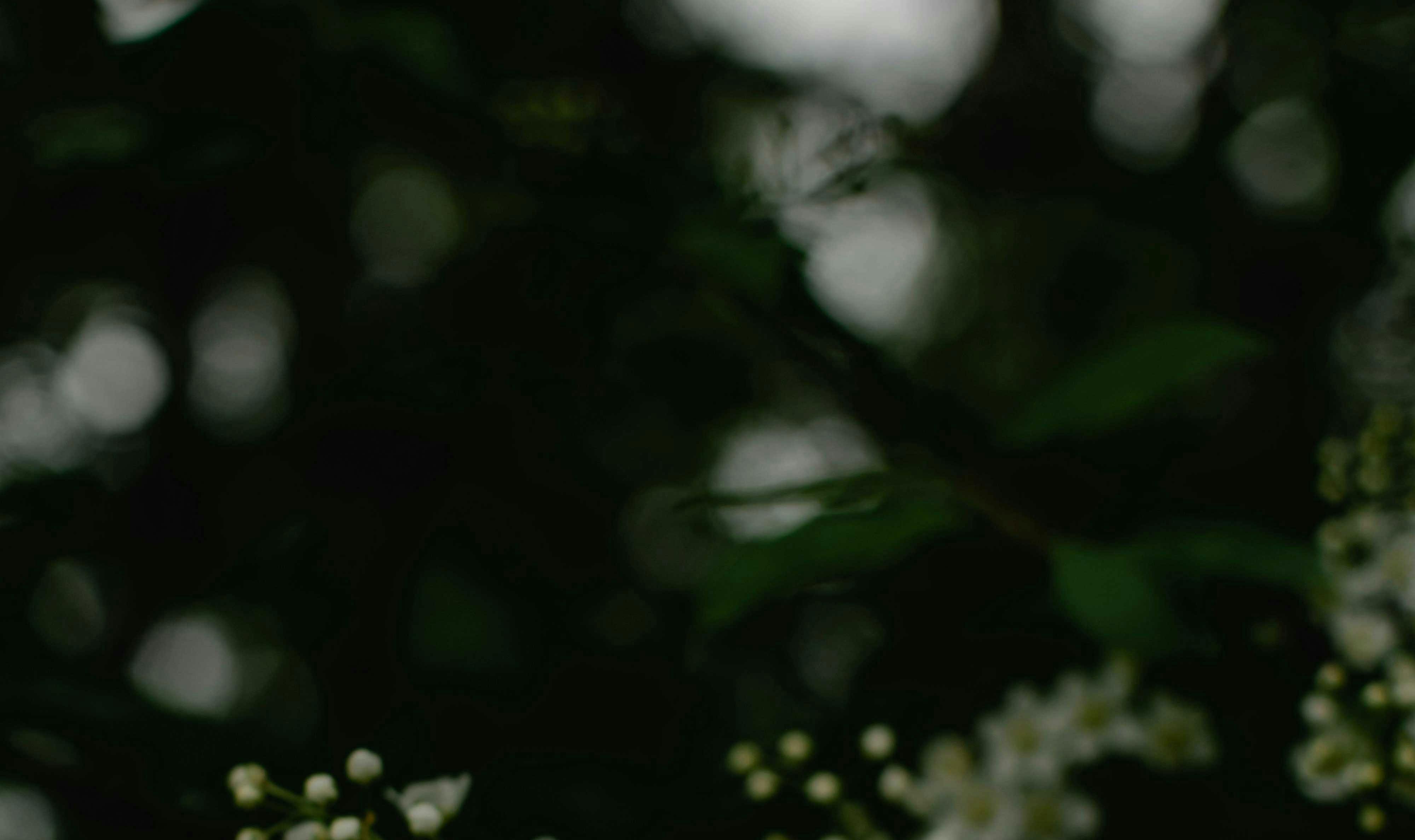 Natural detox treatment to relieve stress and promote relaxation