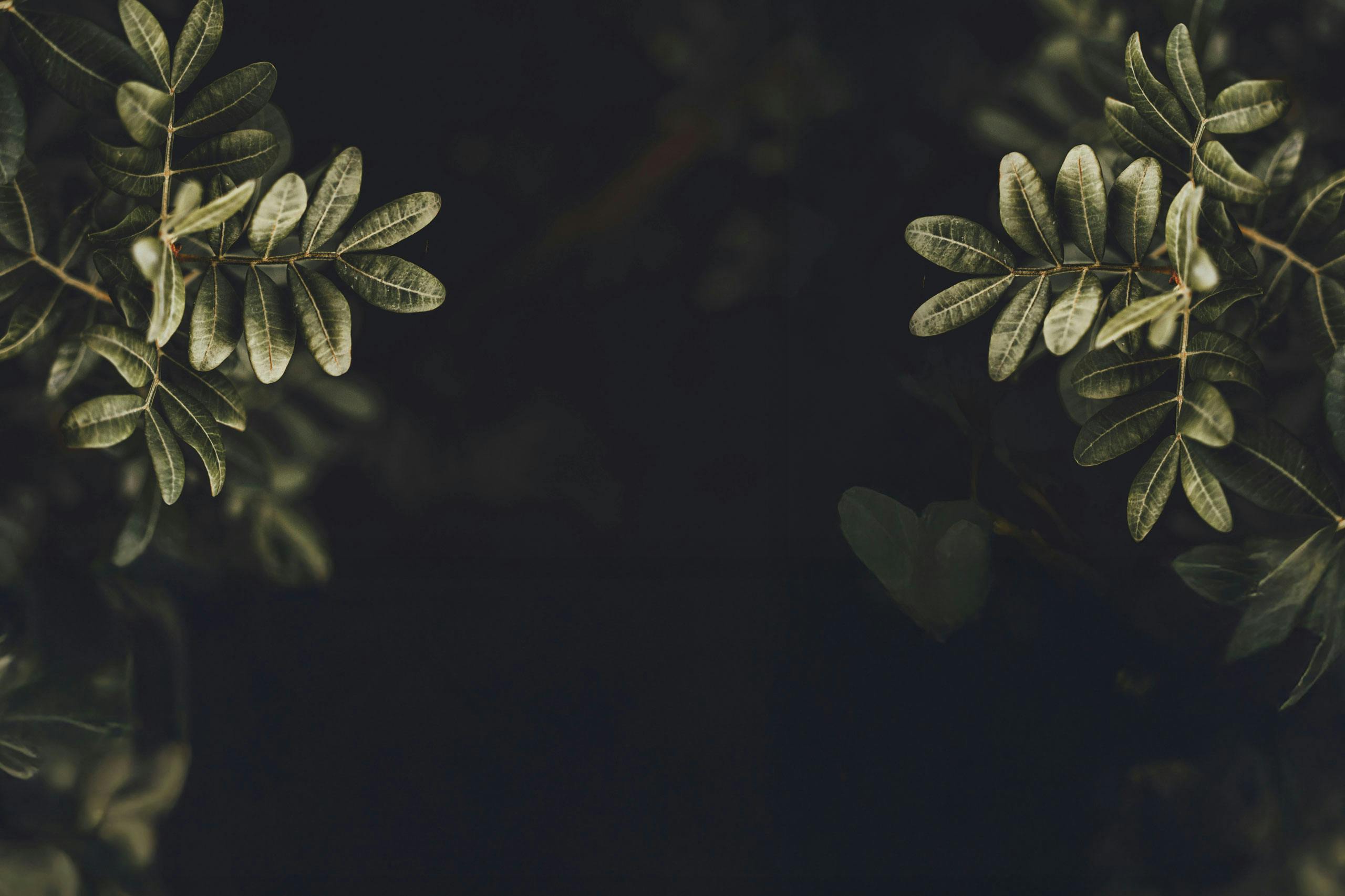 soulistic synergy co - mind, body, spirit