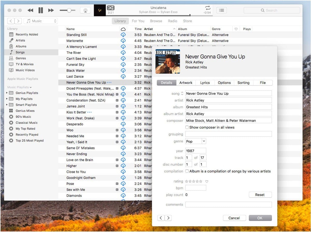 music metadata screen shot if itunes and metadata on a computer