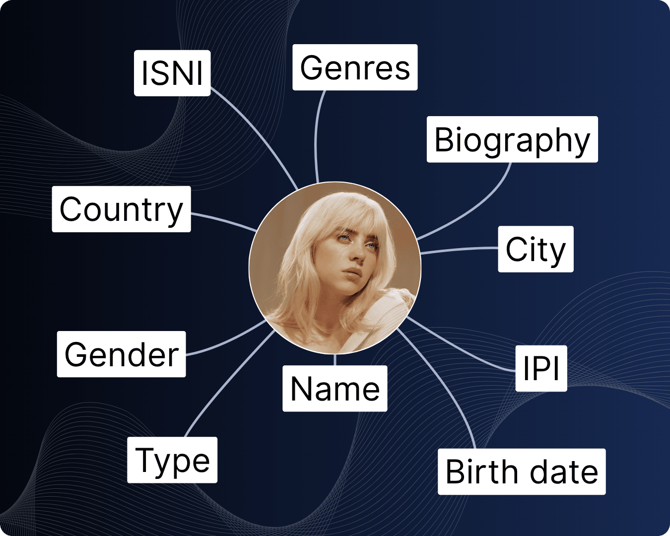 Artist metadata api