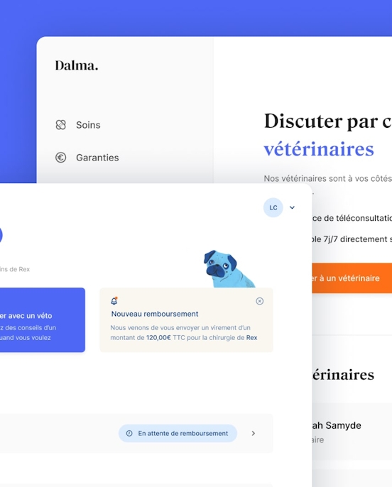 Dalma — Design of new service illustration