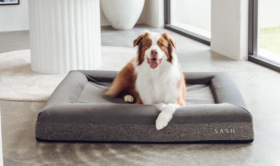 Based in the Gold Coast and born out of a love for dogs, Sash™ is a scale-up that bridges the gap in quality pet products with their range of memory foam dog beds. Passionate about providing holistic care for anxious pups, founder Nejra created a line of luxury mattresses fit for a human - but perfect for a dog.