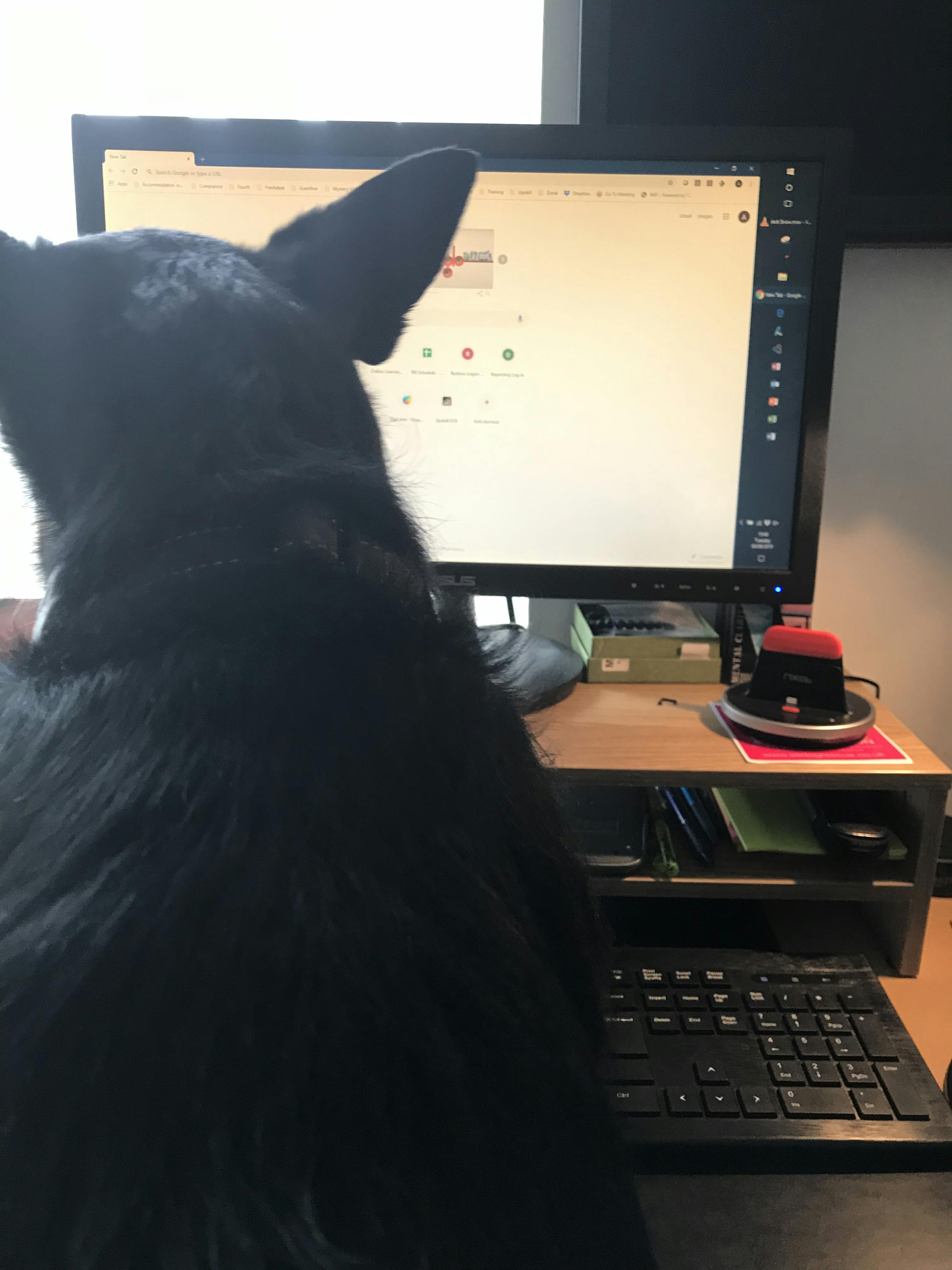 Bryn working from home