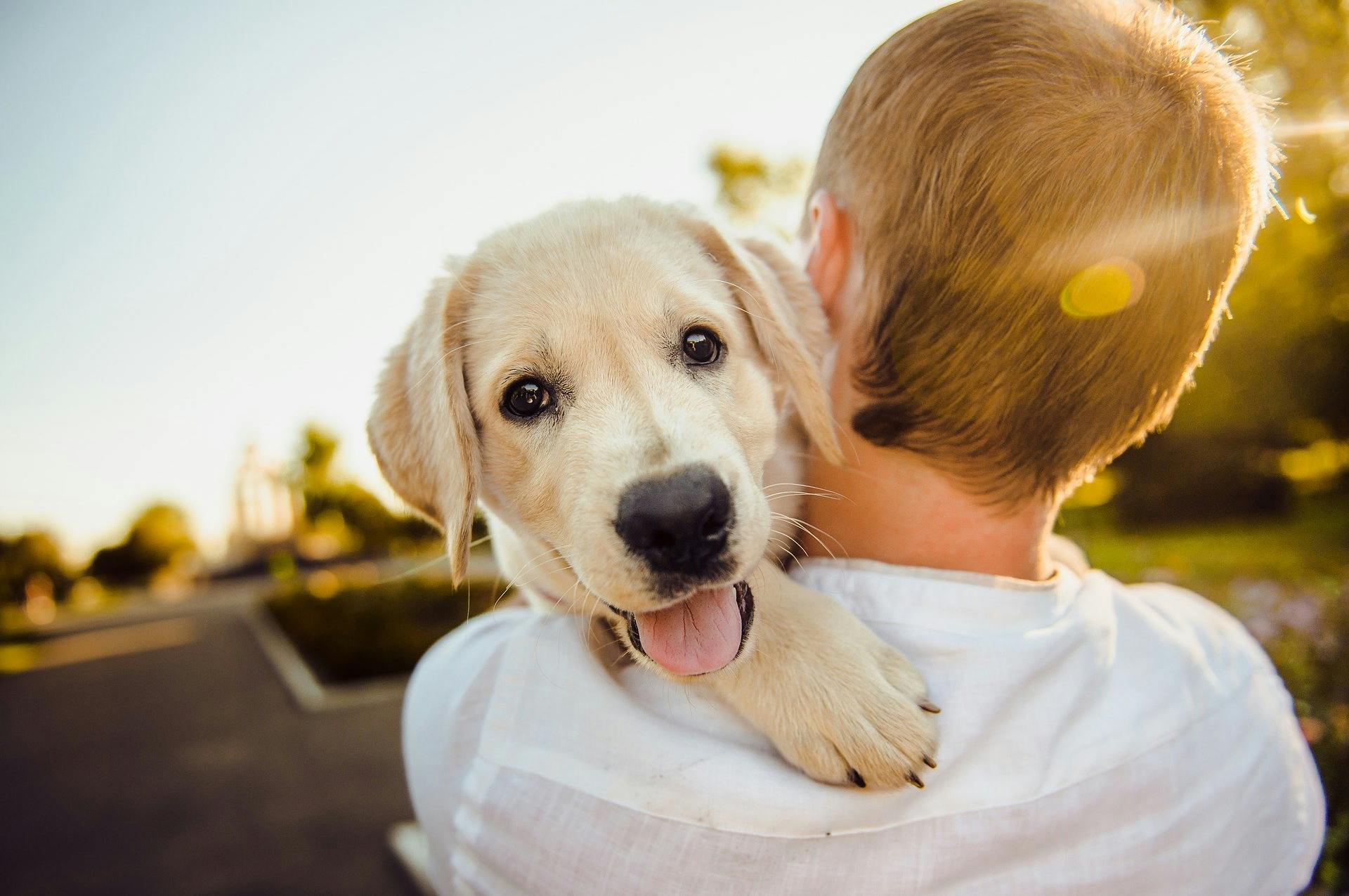 Boy carrying his dog