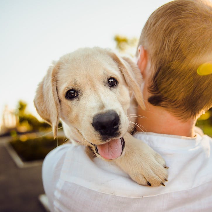 Boy carrying his dog