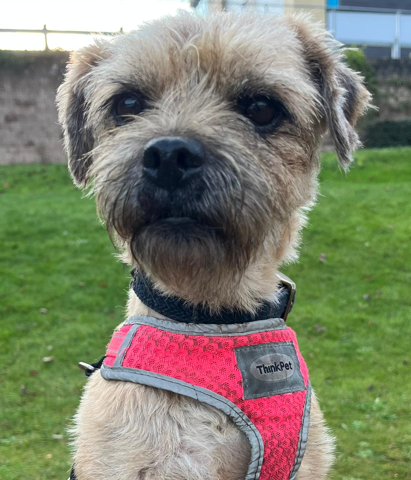 Betty Adopt