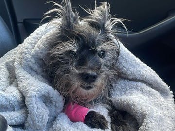 Being looked after by my wonderful nurse