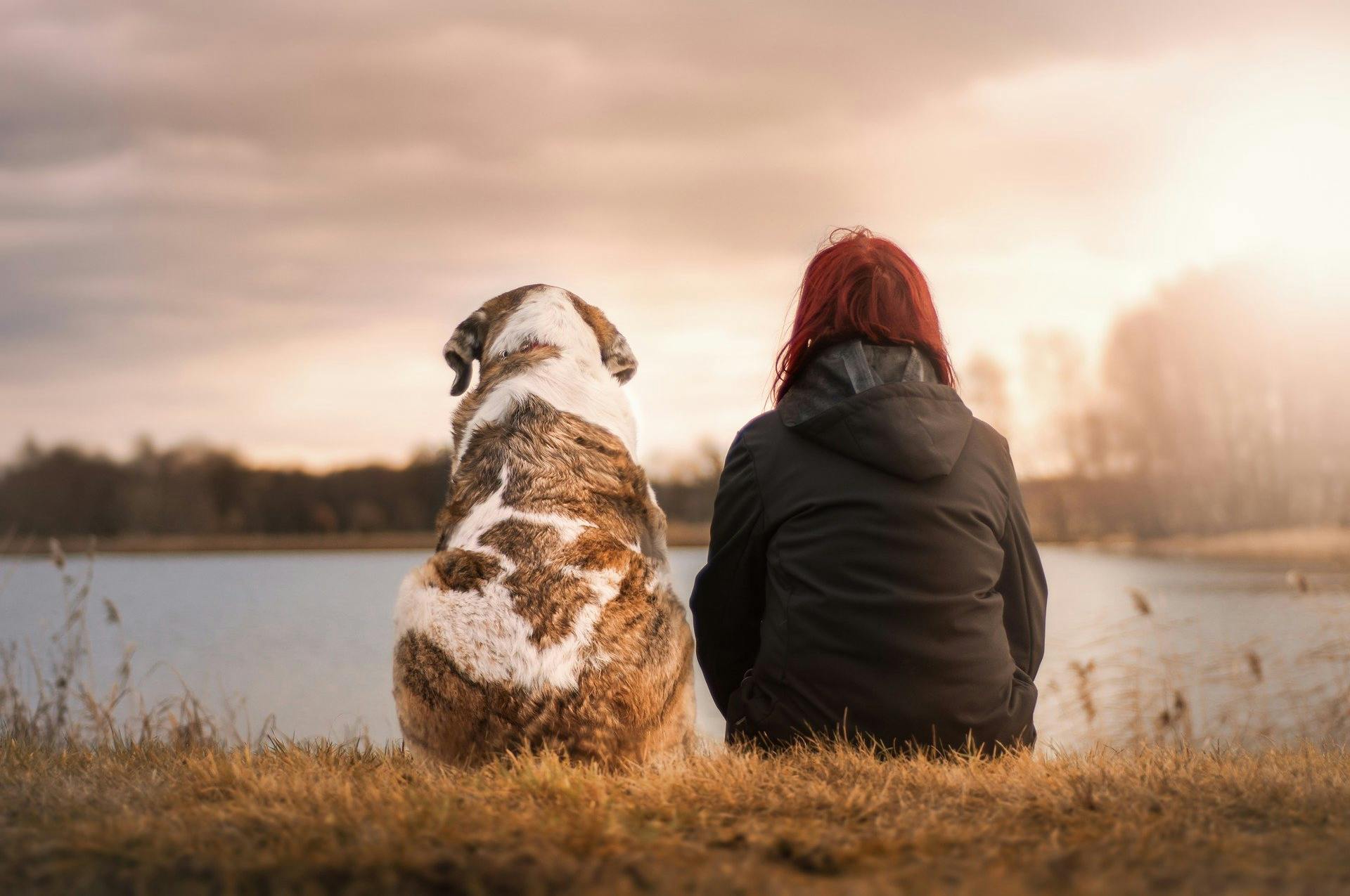 A woman and a dog sitting near a lake