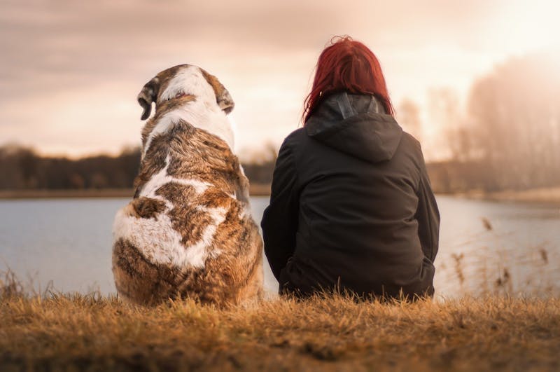 A woman and a dog sitting near a lake