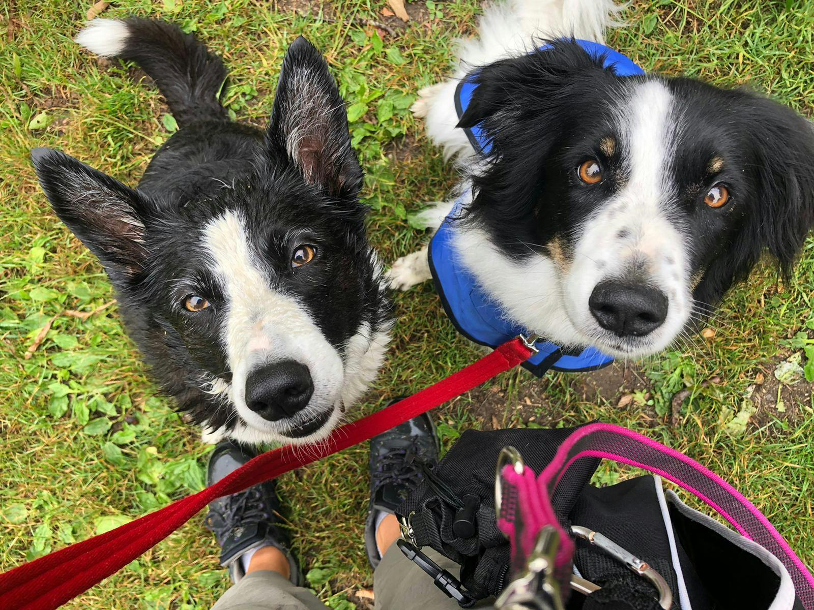 I'm the one on the right with the floppy ears!