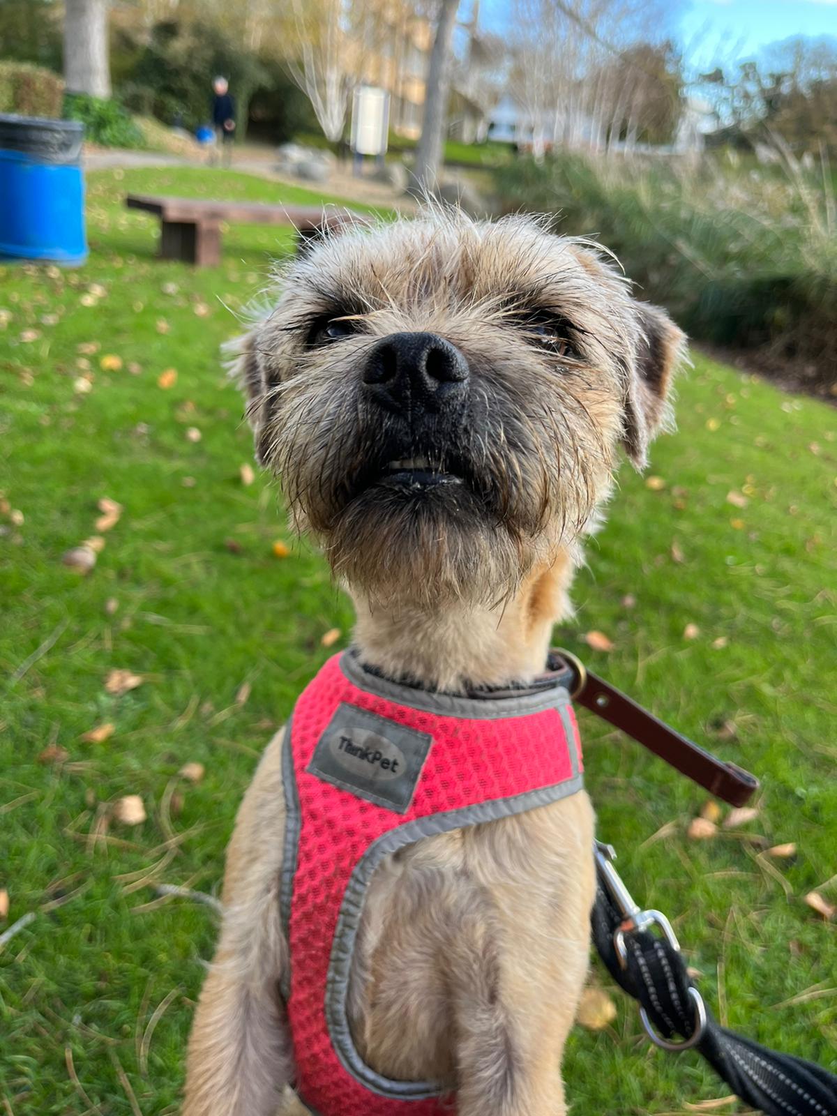 Betty Adopt