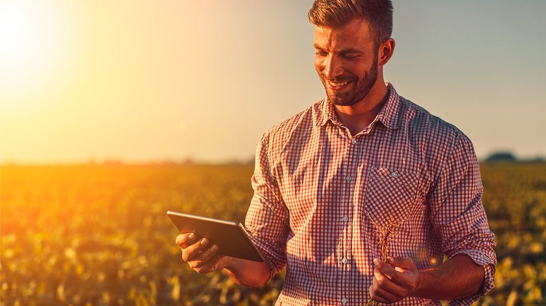 Man looking at tablet in field