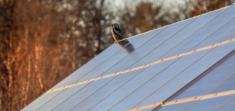 Solar roof panels in winter time