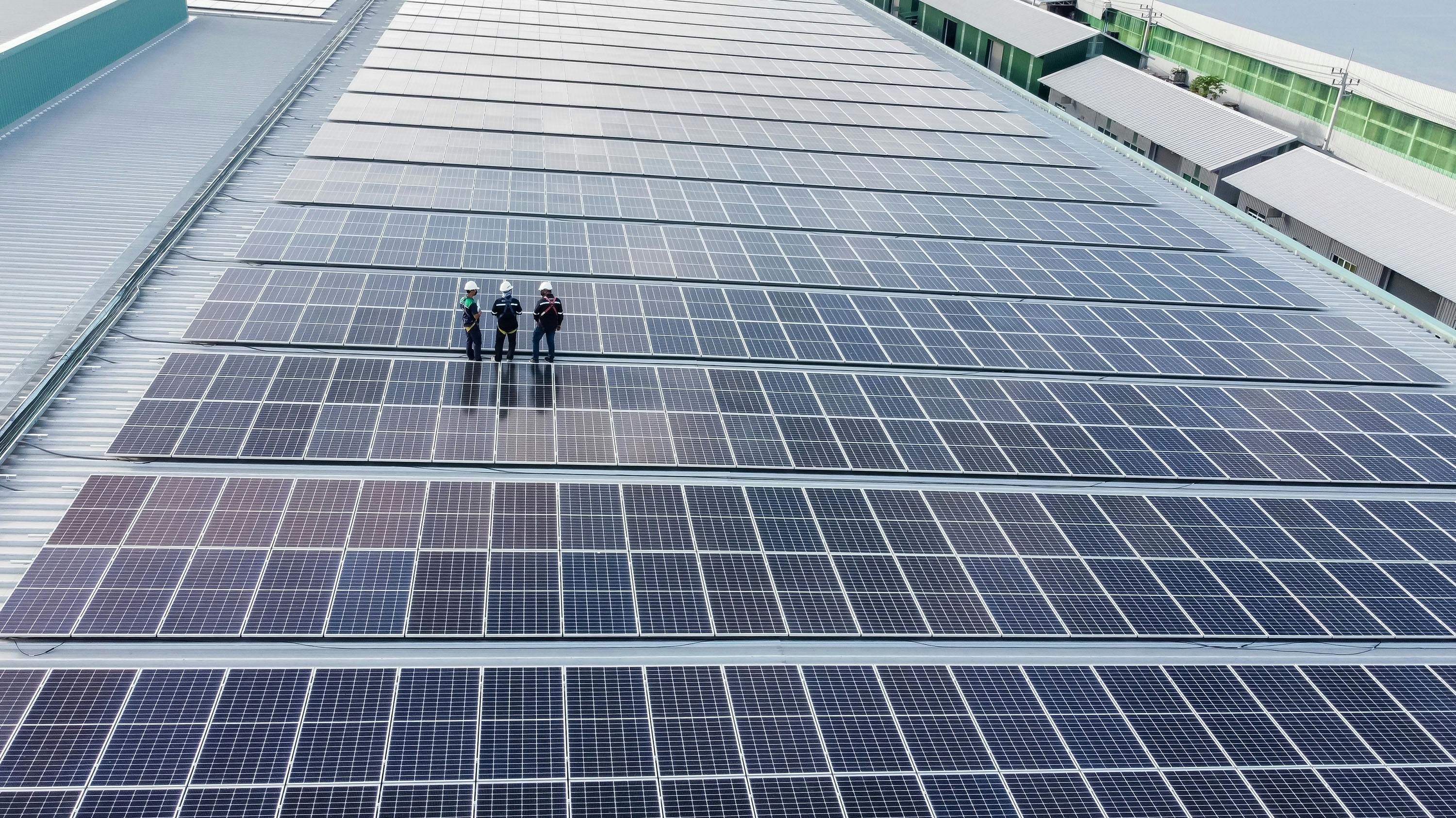 solar panel professionals standing on a solar panel grid