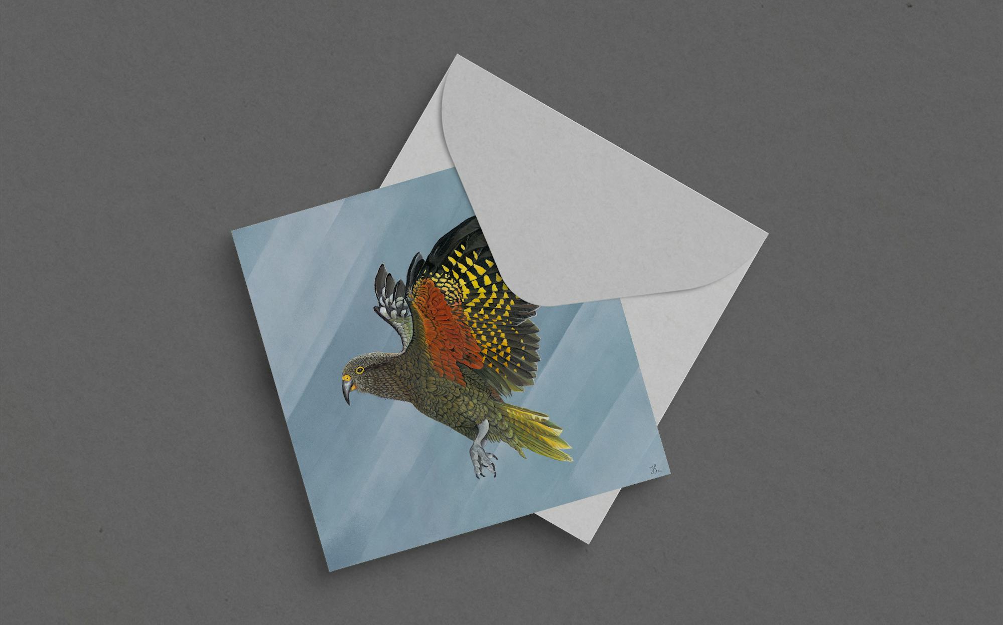 Square greeting card with a kea bird taking flight.