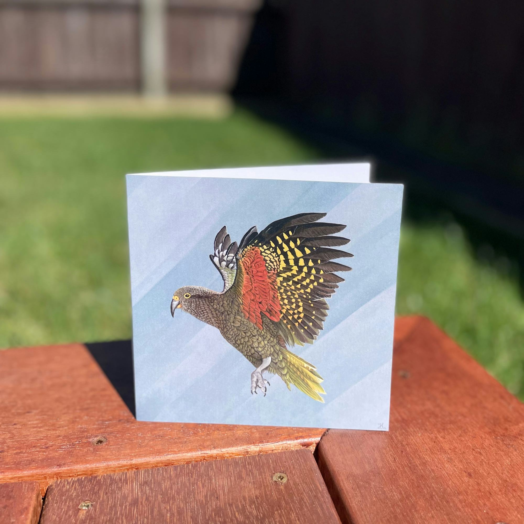 Square greeting card with a kea bird taking flight.