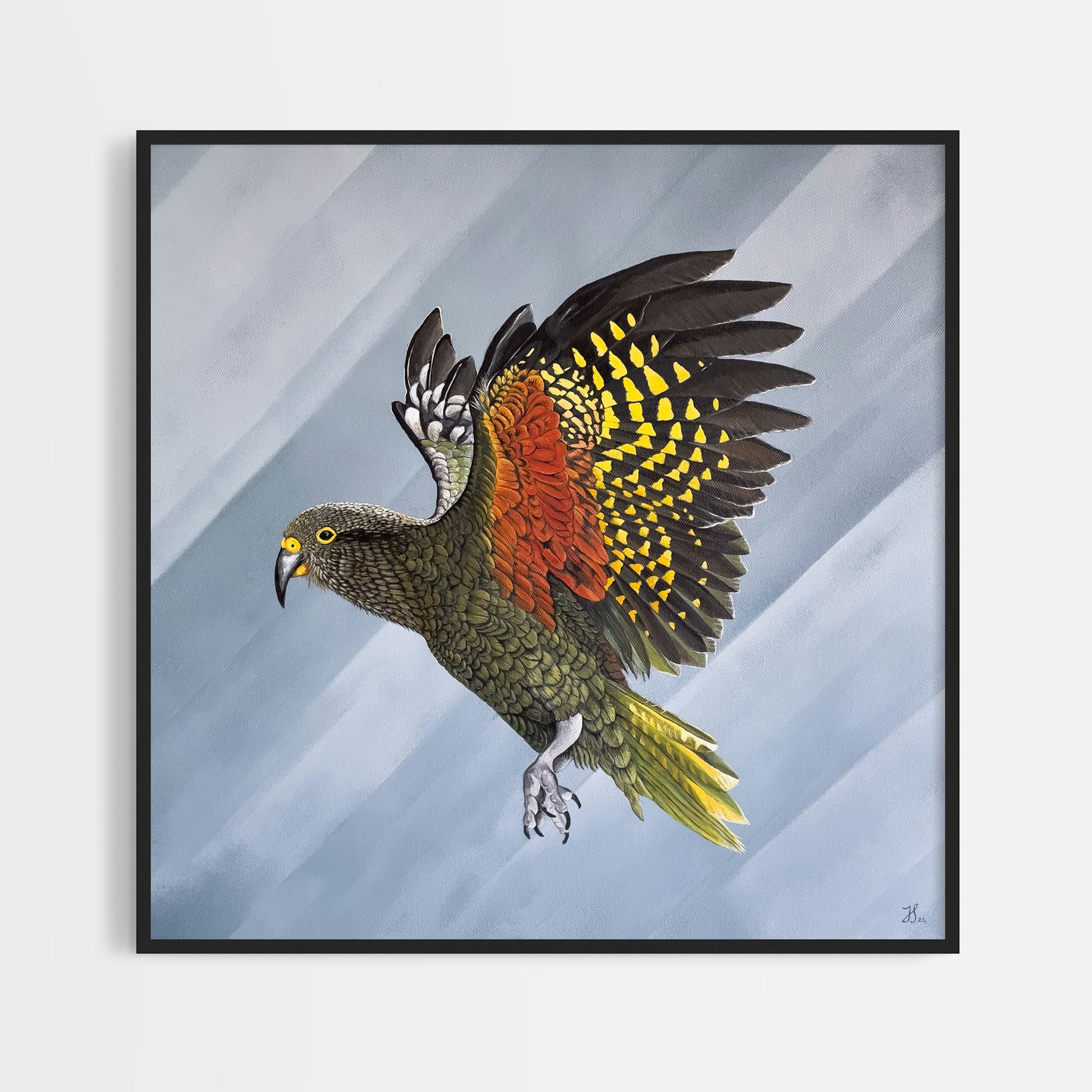 Framed painting of a NZ native Kea bird spreading its colourful wings.