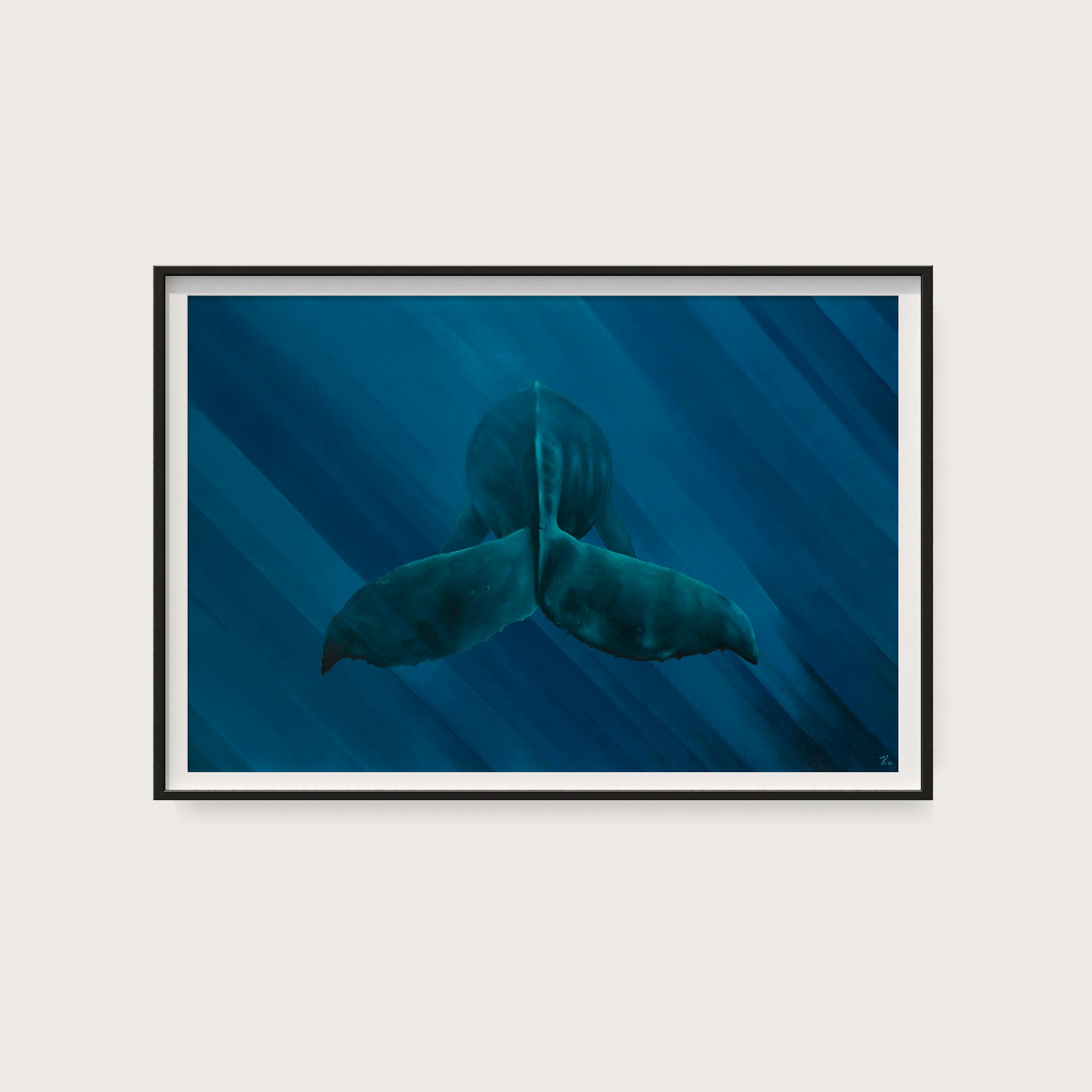 Framed high quality print of a humpback whale tale floating in the ocean.